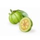 garcinia cambogia extract