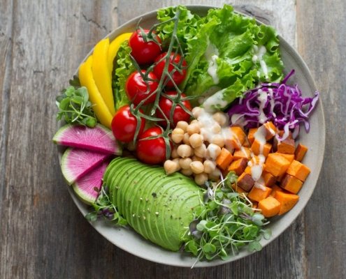 Vegetarian Diet Article