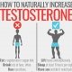 Naturally Increase Testosterone
