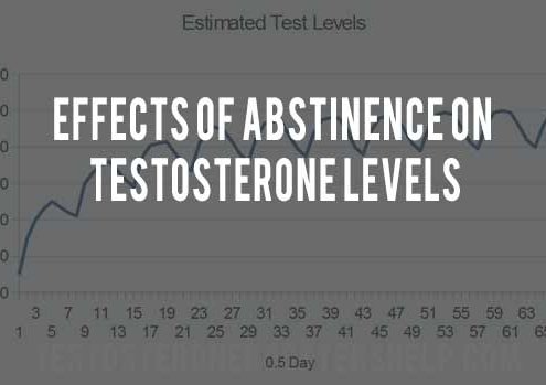 Abstinence and Testosterone Levels